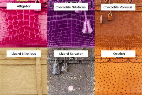 lizard skin hermes|Hermès Exotic Leather Guide .